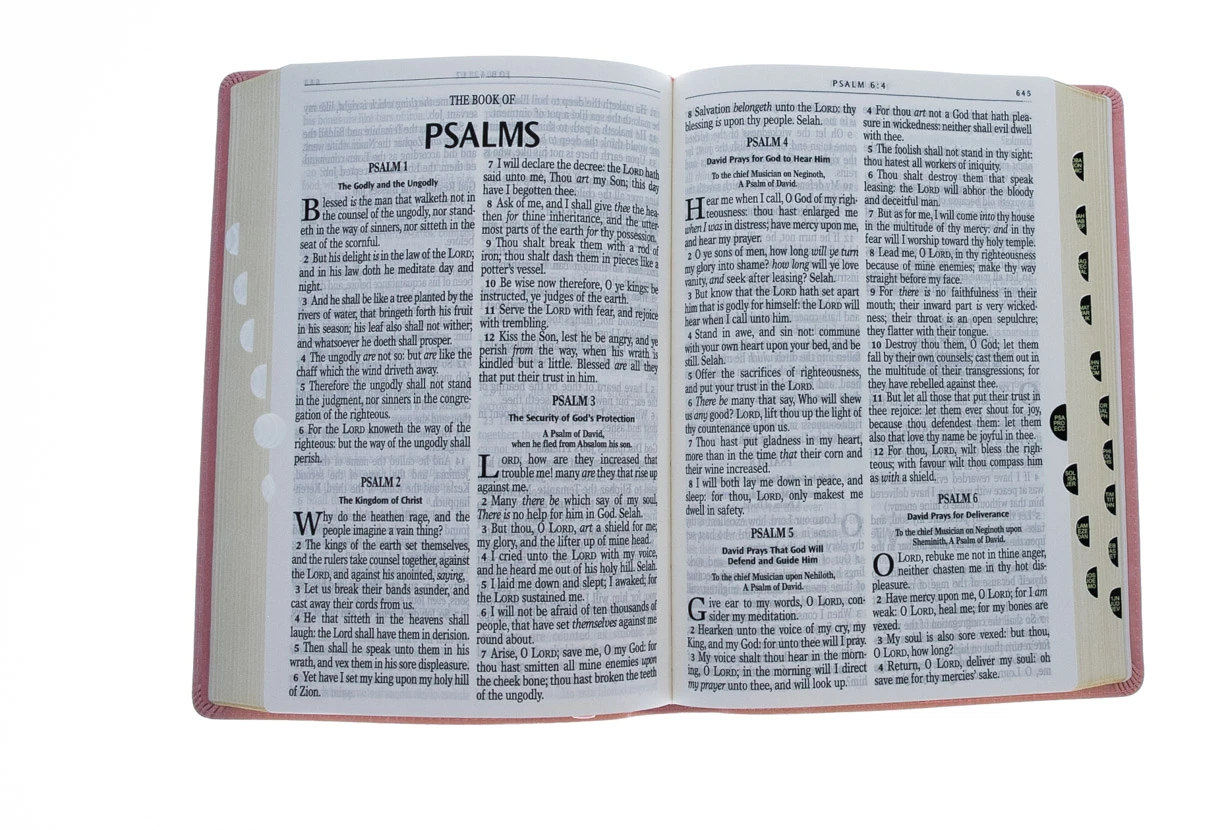 Christian Art Gifts KJV Giant Print Full-size Bible Pink Faux Leather Thumb-index 6 Christian Art Gifts KJV Giant Print Full-size Bible Pink Faux Leather Thumb-index - Image 4