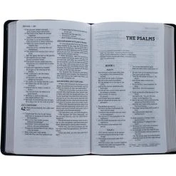 Zondervan NASB, Thinline Bible, Bonded Leather, Black, Red Letter Edition 9 Zondervan NASB, Thinline Bible, Bonded Leather, Black, Red Letter Edition -SHOPtheWORD store 208 0039 3