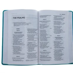 Zondervan NASB 2020 Thinline Bible, Comfort Print–Soft Leather-look, Teal -SHOPtheWORD store 208 0064 3