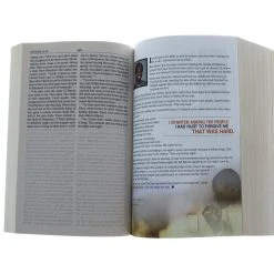 Zondervan NIrV Free On The Inside Bible -Large Print, Paperback -SHOPtheWORD store 209 0002 3
