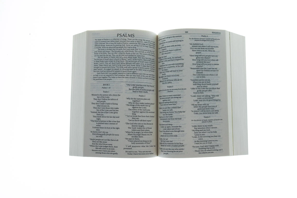 NIrV Pathlight: A Camper’s Bible, Paperback Zondervan NIrV Pathlight: A Camper’s Bible, Paperback -SHOPtheWORD store 209 0052 2