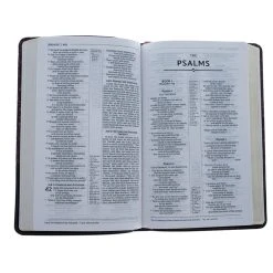 Zondervan NRSV, Thinline Reference Bible, Leathersoft, Burgundy -SHOPtheWORD store 213 0015 3