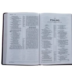 Zondervan NRSV, Thinline Reference Bible, Large Print, Leathersoft, Burgundy -SHOPtheWORD store 213 0018 3