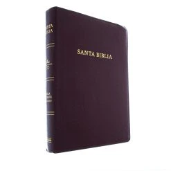 Holman Bible Publishers Spanish-RVR 1960/KJV Bilingual Bible-Burgundy Imitation Leather -SHOPtheWORD store 216 0002 1