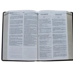 Holman Bible Publishers Spanish-RVR 1960/KJV Bilingual Bible-Burgundy Imitation Leather -SHOPtheWORD store 216 0002 2