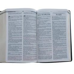 Holman Bible Publishers RVR 1960 KJV Santa Biblia -Spanish And English Edition -SHOPtheWORD store 216 0003 4