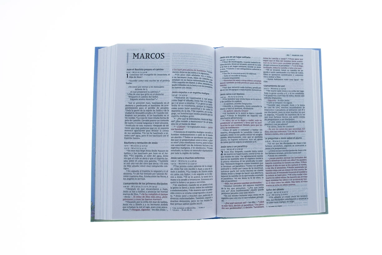 WEIGHT: 3 Lbs Santa Biblia Precious Moments NVI, Tapa Dura Acolchada (Spanish) 6 WEIGHT: 3 Lbs Santa Biblia Precious Moments NVI, Tapa Dura Acolchada (Spanish) - Image 4