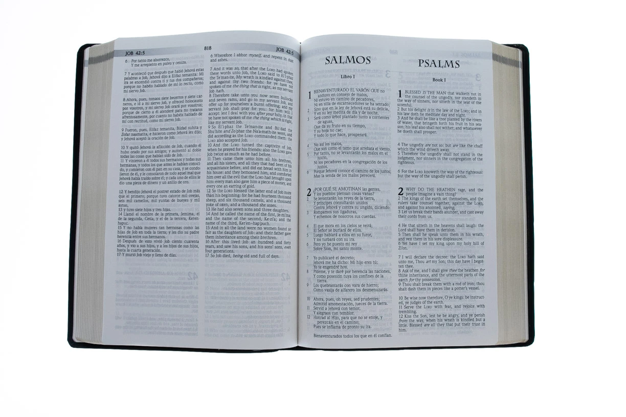 WEIGHT: 1 Lbs Span-RVR 1960/KJV Large Print Bilingual Bible-Black Imitation Leather 6 WEIGHT: 1 Lbs Span-RVR 1960/KJV Large Print Bilingual Bible-Black Imitation Leather - Image 4