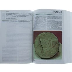 CEB Study Bible W/Apocrypha-Hardcover -SHOPtheWORD store 217 0005 5