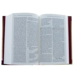 Holman Bible Publishers Reading God’s Story-HCSB: A Chronological Reading Bible -SHOPtheWORD store 218 0155 3
