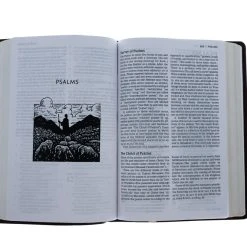 Thomas Nelson NET Thinline Art Edition/Large Print Brown Leathersoft -SHOPtheWORD store 221 0025 4