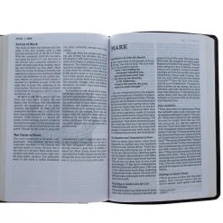 Thomas Nelson NET Thinline Art Edition/Large Print Brown Leathersoft -SHOPtheWORD store 221 0025 6