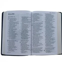 Thomas Nelson NET Thinline Art Edition/Large Print Blue Leathersoft -SHOPtheWORD store 221 0026 6