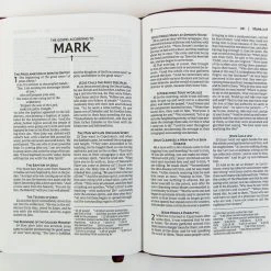 Zondervan NRSVUE Gift Bible, Leathersoft, Burgundy, Comfort Print -SHOPtheWORD store 226 0014 3