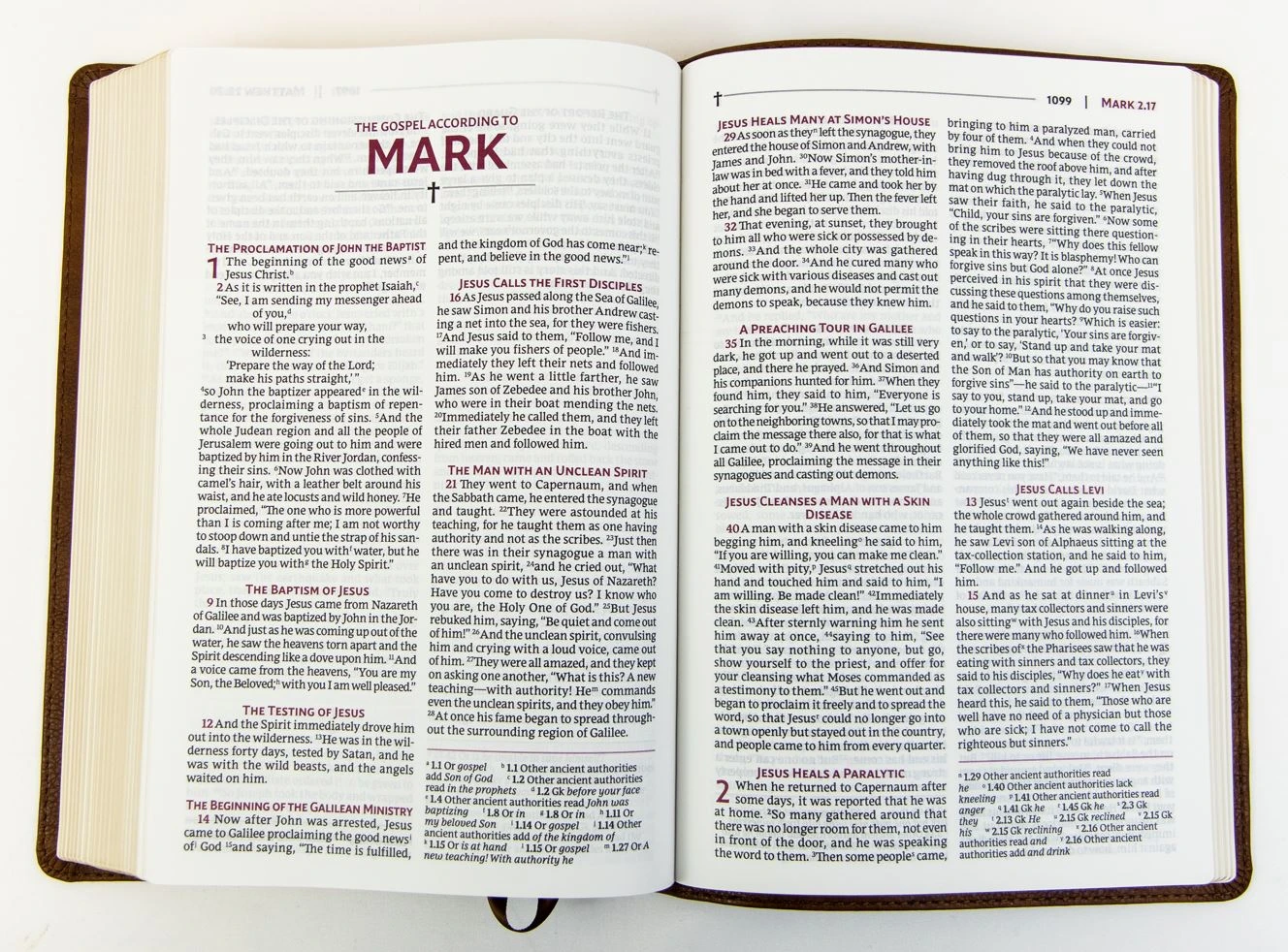 Zondervan NRSVUE Holy Bible With Apocrypha, Leathersoft, Brown 5 Zondervan NRSVUE Holy Bible With Apocrypha, Leathersoft, Brown - Image 3