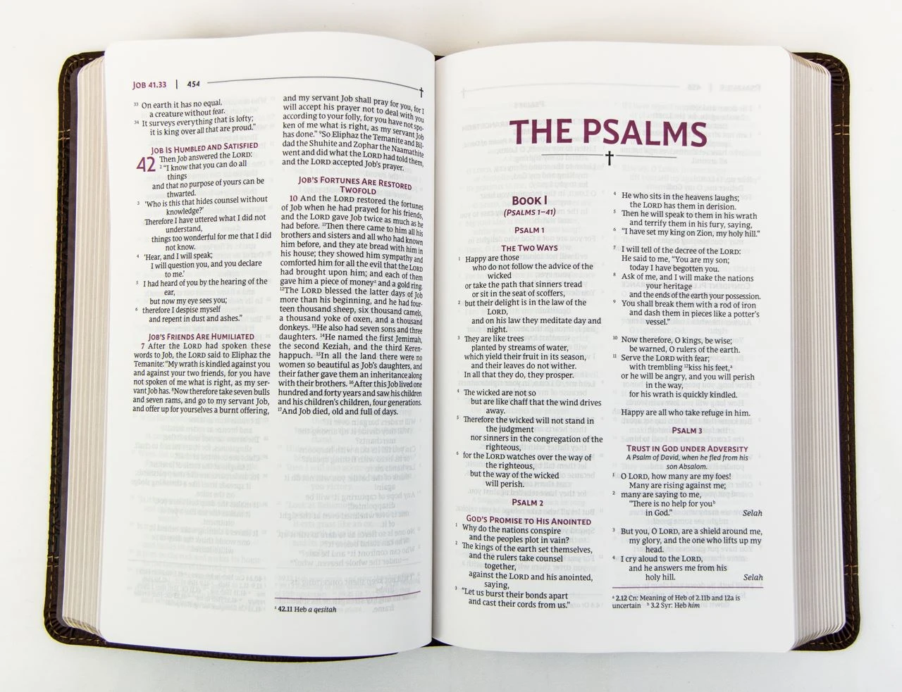 Zondervan NRSVUE Holy Bible With Apocrypha Personal Size, Brown 5 Zondervan NRSVUE Holy Bible With Apocrypha Personal Size, Brown - Image 3