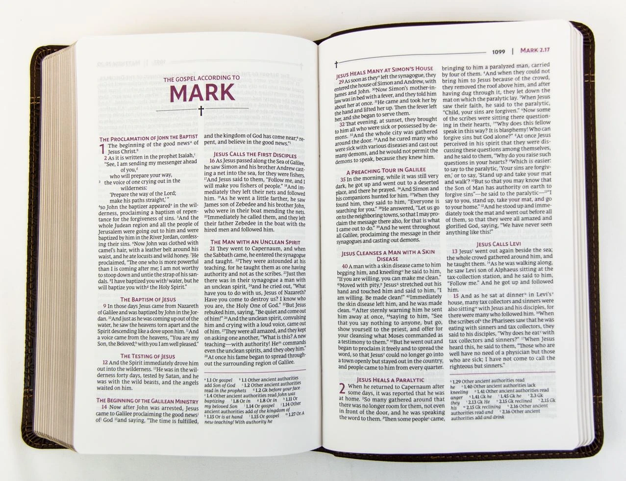 Zondervan NRSVUE Holy Bible With Apocrypha Personal Size, Brown 6 Zondervan NRSVUE Holy Bible With Apocrypha Personal Size, Brown - Image 4