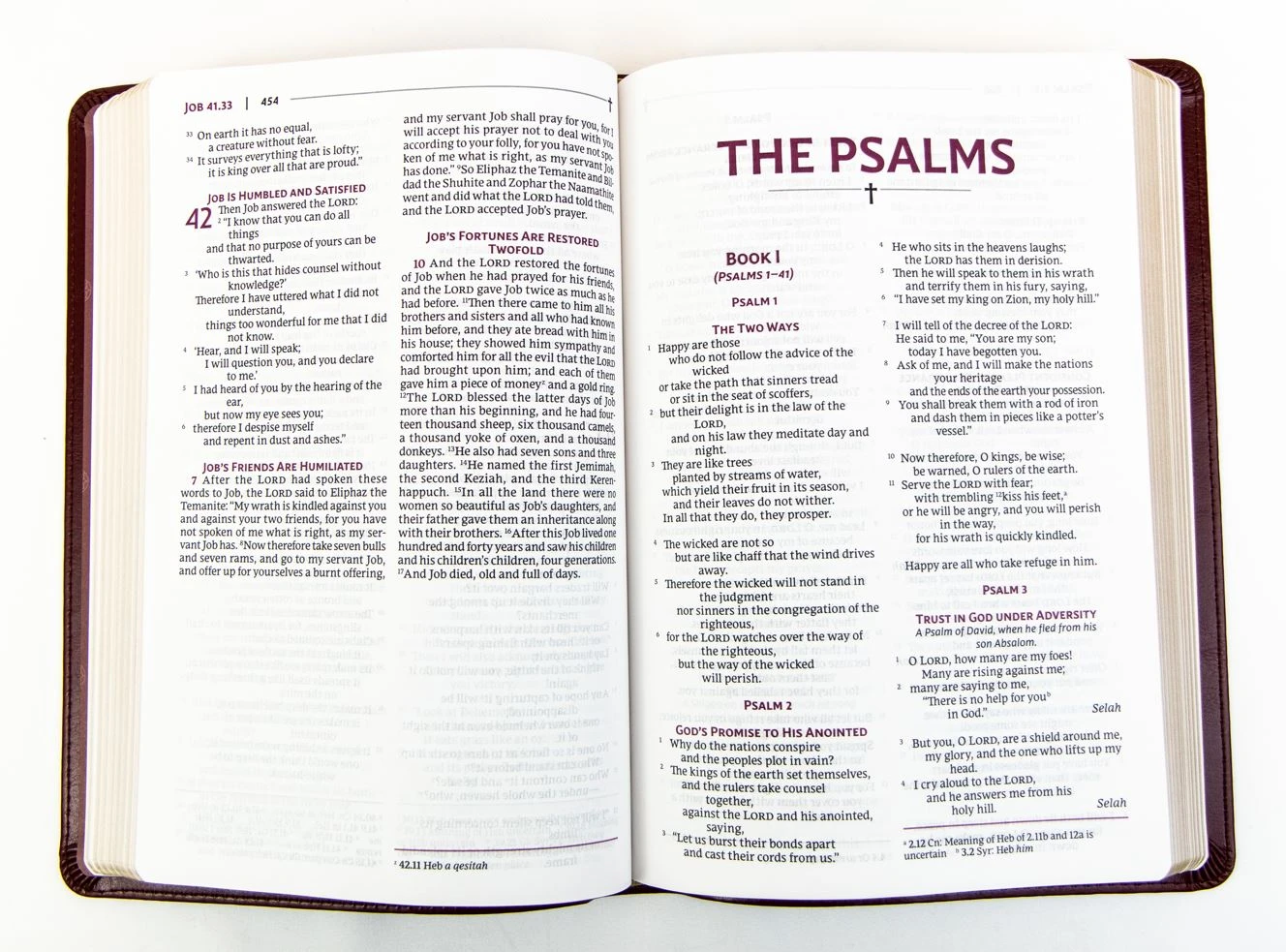 Zondervan NRSVUE Holy Bible, Leathersoft, Burgundy, Comfort Print 4 Zondervan NRSVUE Holy Bible, Leathersoft, Burgundy, Comfort Print - Image 2