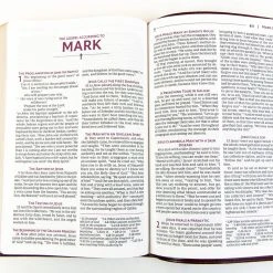 Zondervan NRSVUE Holy Bible, Leathersoft, Burgundy, Comfort Print 8 Zondervan NRSVUE Holy Bible, Leathersoft, Burgundy, Comfort Print -SHOPtheWORD store 226 0018 2