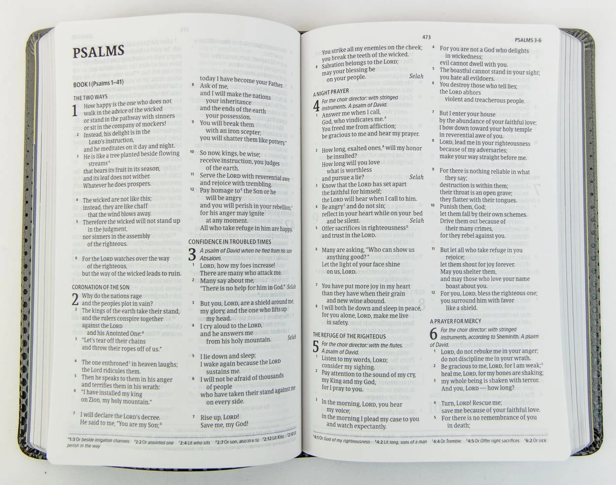 Holman Bible Publishers CSB Kids Bible, Thinline Edition, Gray Leathertouch 4 Holman Bible Publishers CSB Kids Bible, Thinline Edition, Gray Leathertouch - Image 2