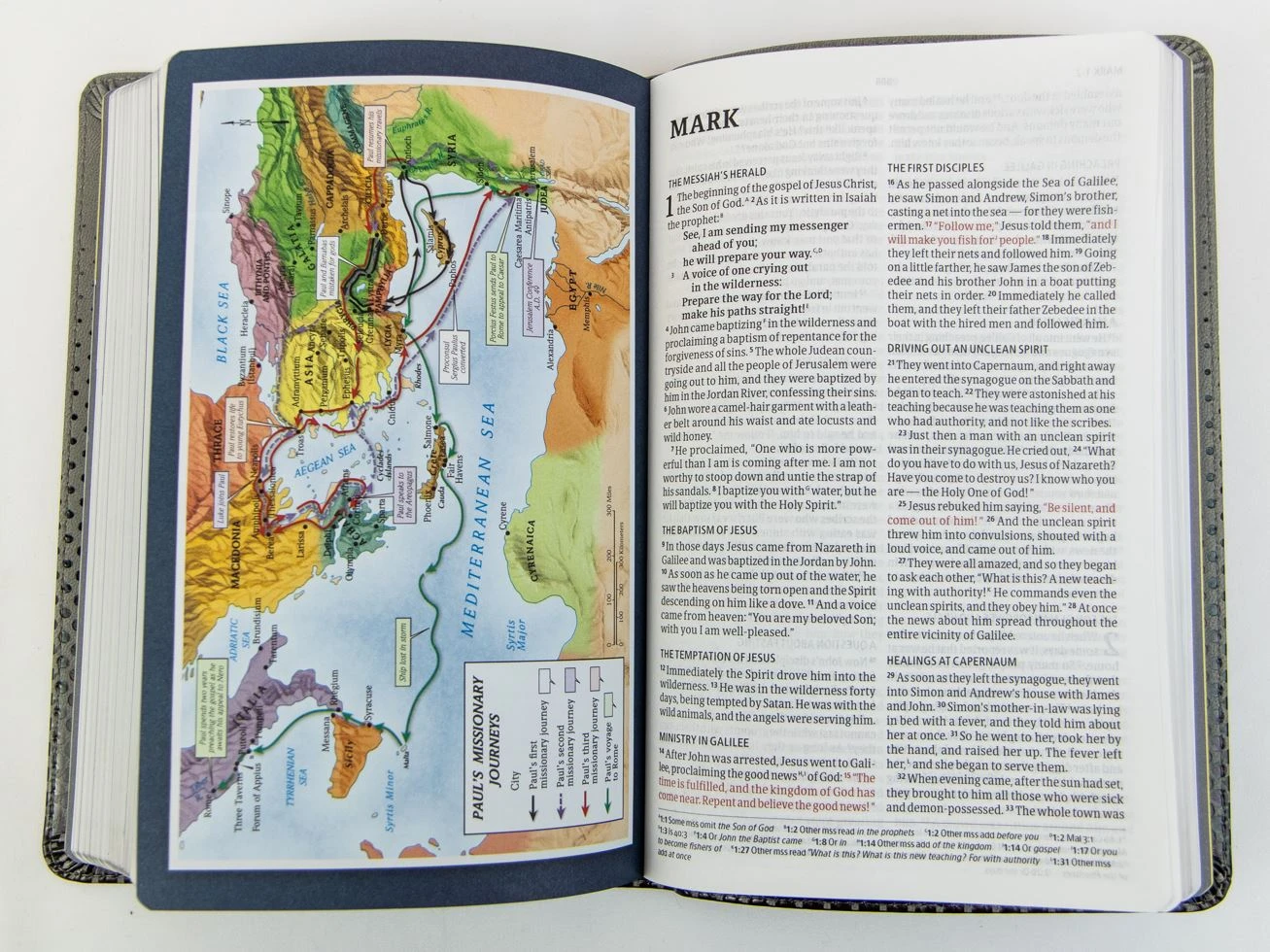 Holman Bible Publishers CSB Kids Bible, Thinline Edition, Gray Leathertouch 5 Holman Bible Publishers CSB Kids Bible, Thinline Edition, Gray Leathertouch - Image 3