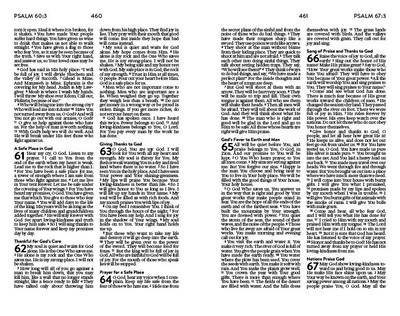 Barbour Publishing NLV Unique Bible For Teen Girls 5 Barbour Publishing NLV Unique Bible For Teen Girls - Image 3