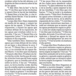 Audience: Teen RVR 1960 Biblia Vencedores -SHOPtheWORD store 226 0032 3