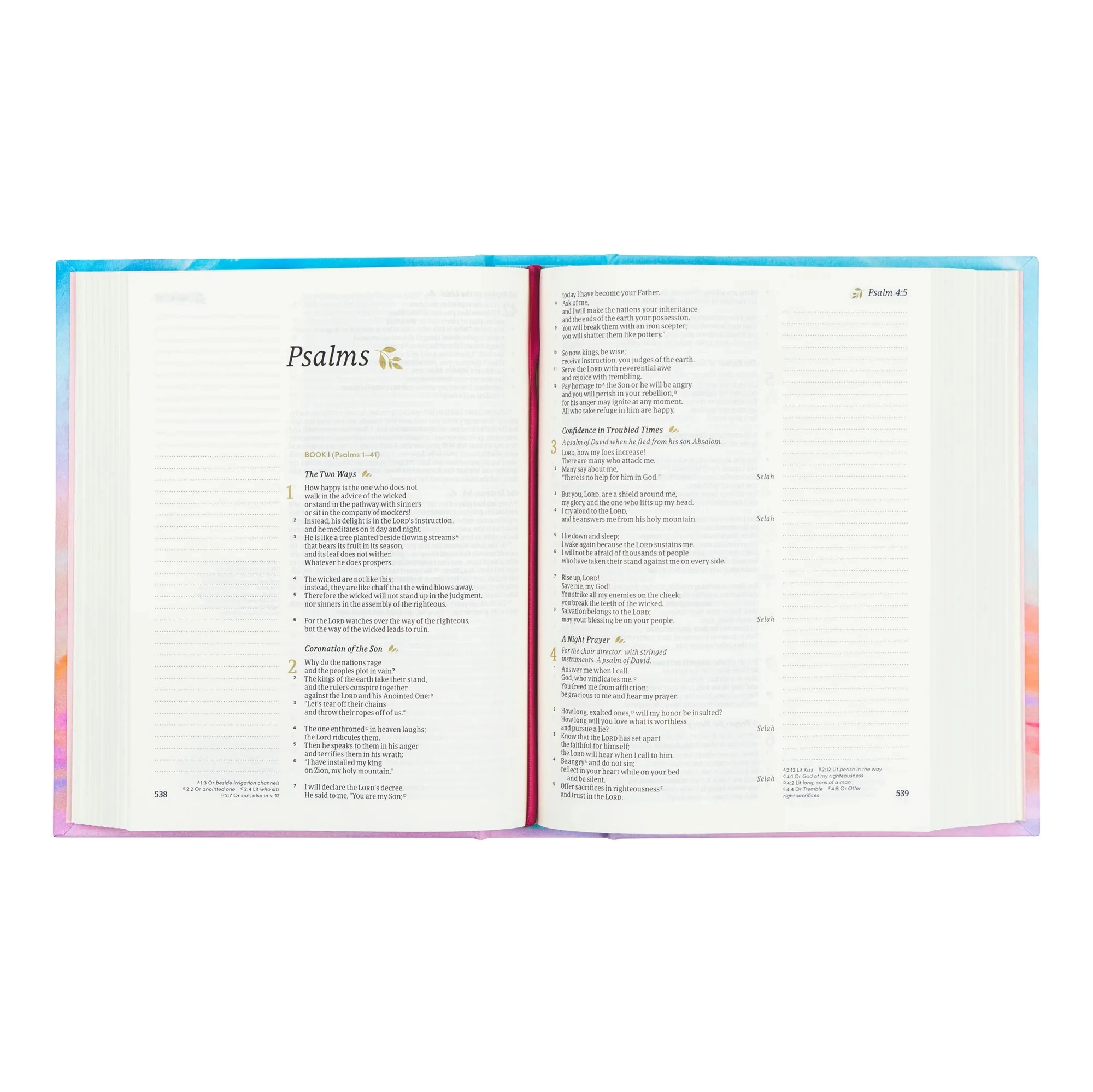 Audience: Girls CSB Notetaking Bible – Rosemary Beach Theme 5 Audience: Girls CSB Notetaking Bible – Rosemary Beach Theme - Image 3