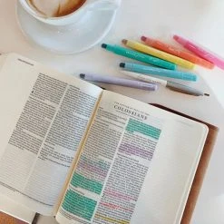 Pastel Bible Highlighter Set -SHOPtheWORD store 250 1001 3